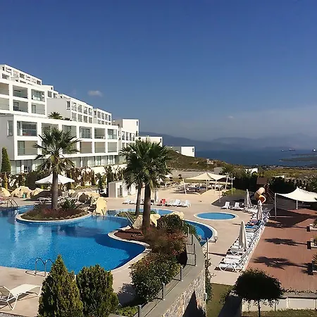 Apartment Horizon Sky Orange 4 *